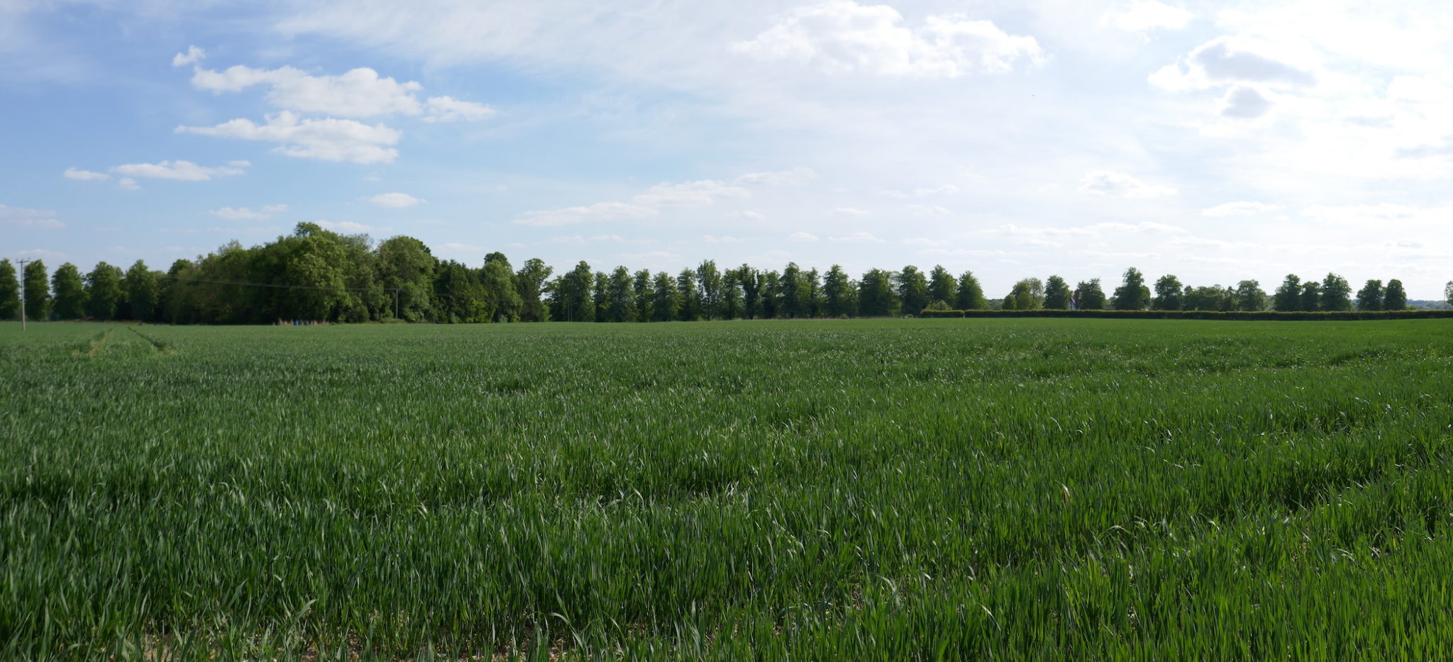 Misc Photos Berrybushes Farm and Filming Location Studio Langleybury